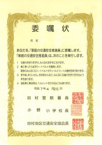 20250425_165235_0001