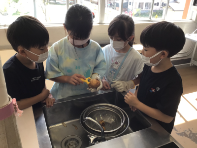 2年1組_せいかつ_佐藤　純子_ポテチパーティー_3