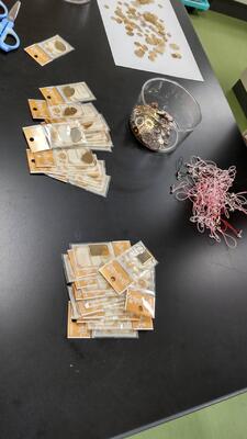 分解アクセサリーを作ろう 分解アクセサリーを作ろう